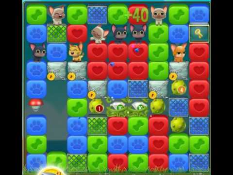 Pet Rescue Saga : Level 10073
