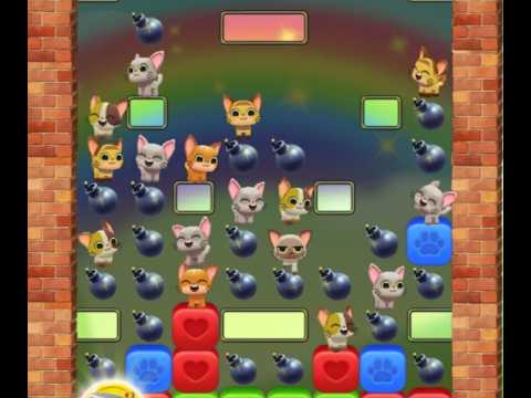 Pet Rescue Saga : Level 9777