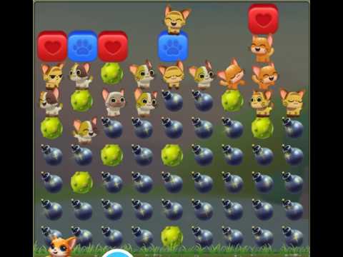 Pet Rescue Saga : Level 10362
