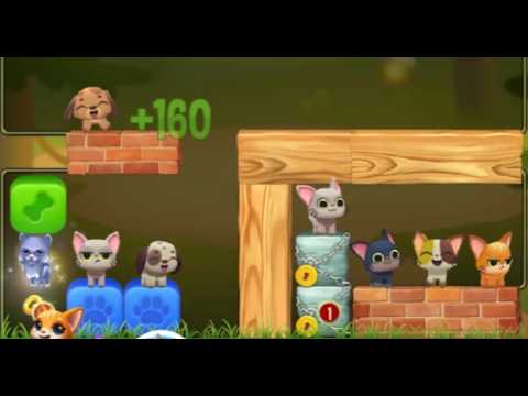 Pet Rescue Saga : Level 9909