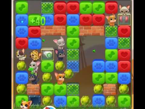 Pet Rescue Saga : Level 10099
