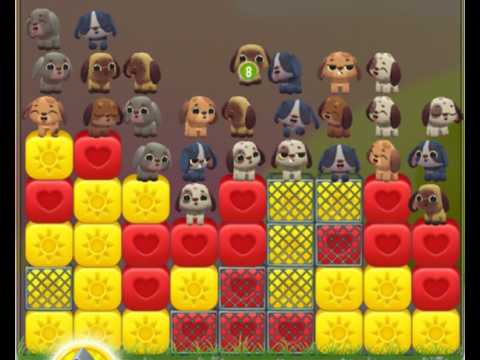 Pet Rescue Saga : Level 9815