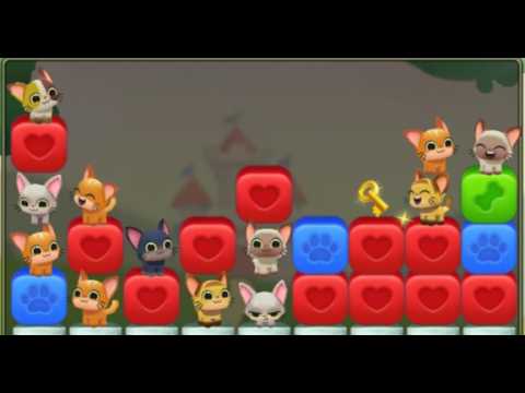 Pet Rescue Saga : Level 10302
