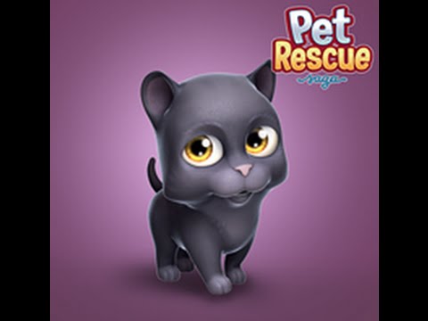 Pet Rescue Saga : Level 985