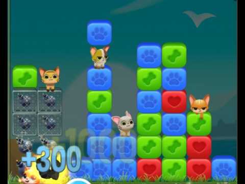 Pet Rescue Saga : Level 10062