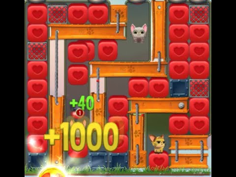 Pet Rescue Saga : Level 9049
