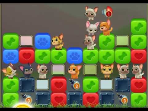 Pet Rescue Saga : Level 10377