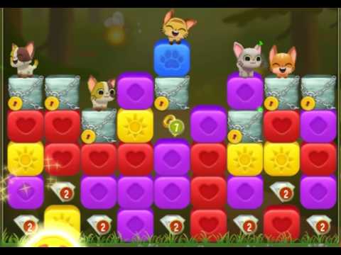 Pet Rescue Saga : Level 9984