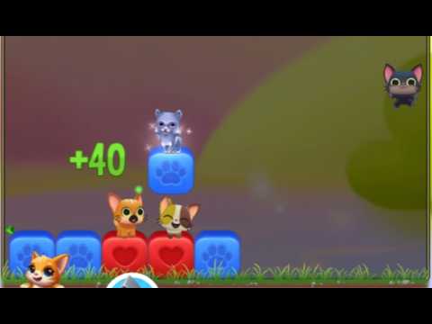 Pet Rescue Saga : Level 9822