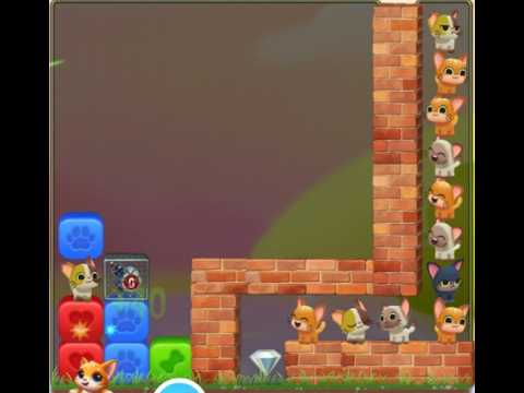 Pet Rescue Saga : Level 9897