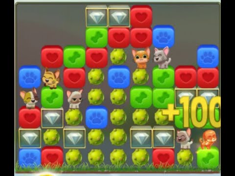 Pet Rescue Saga : Level 8862