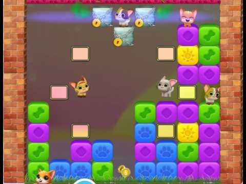 Pet Rescue Saga : Level 10205