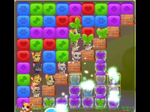 Pet Rescue Saga : Level 9884