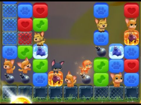 Pet Rescue Saga : Level 9125