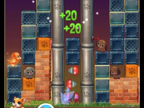 Pet Rescue Saga : Level 9568