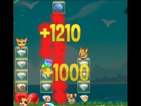 Pet Rescue Saga : Level 9996