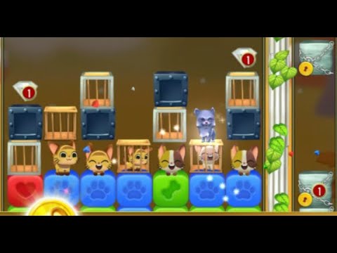 Pet Rescue Saga : Level 9327