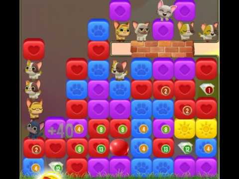 Pet Rescue Saga : Level 10216
