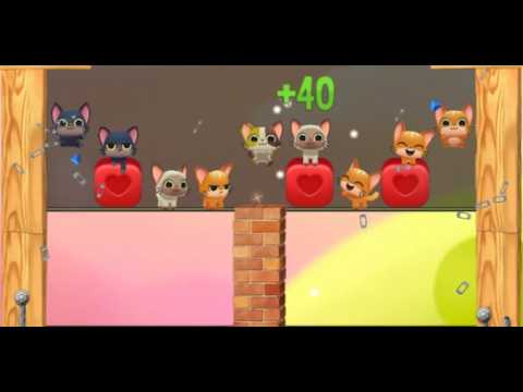 Pet Rescue Saga : Level 9831