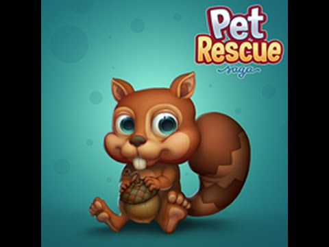Pet Rescue Saga : Level 909