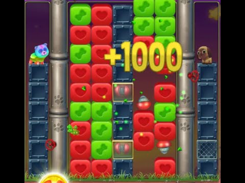 Pet Rescue Saga : Level 9556