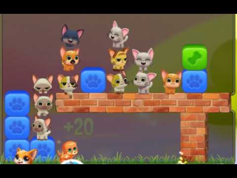 Pet Rescue Saga : Level 10183