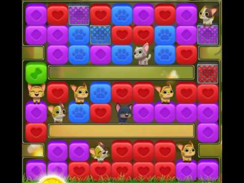 Pet Rescue Saga : Level 9953
