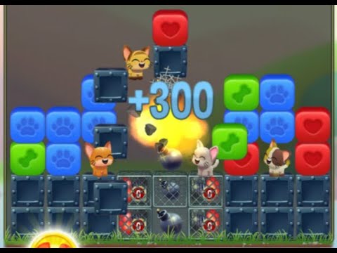 Pet Rescue Saga : Level 8922