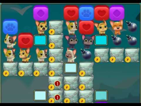 Pet Rescue Saga : Level 10077
