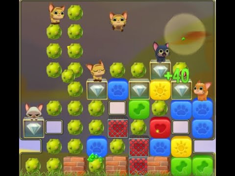 Pet Rescue Saga : Level 9104